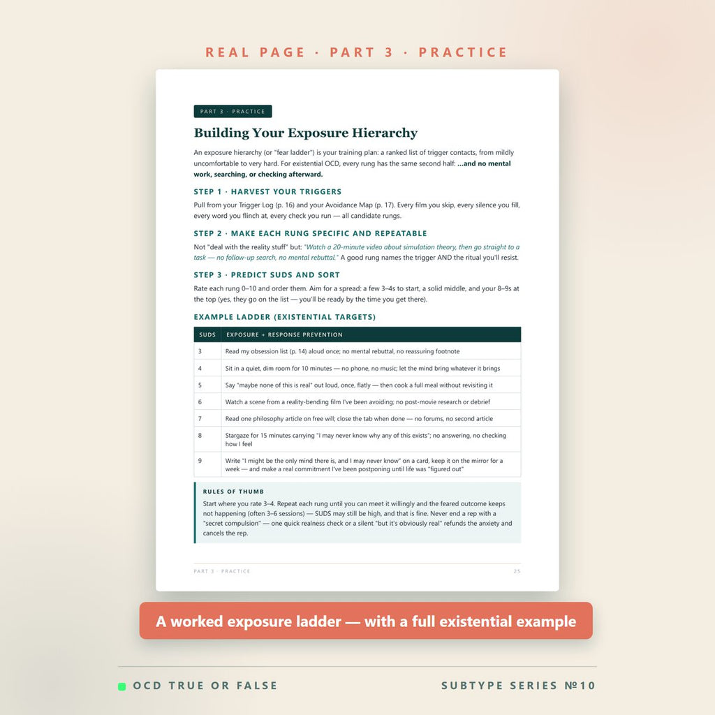 The Existential OCD Workbook — inside pages