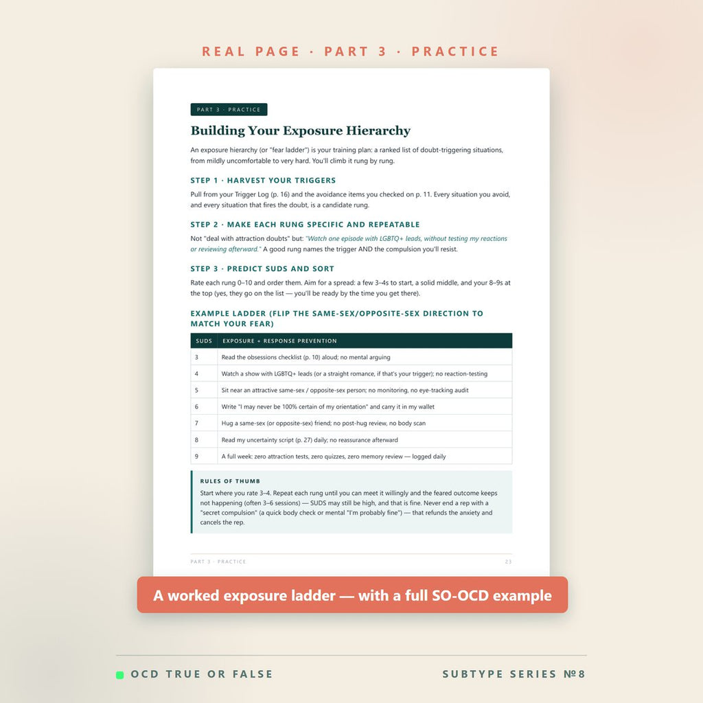 The Sexual-Orientation OCD (SO-OCD) Workbook — inside pages