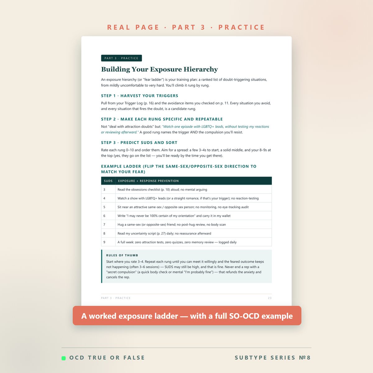 The Sexual-Orientation OCD (SO-OCD) Workbook — inside pages