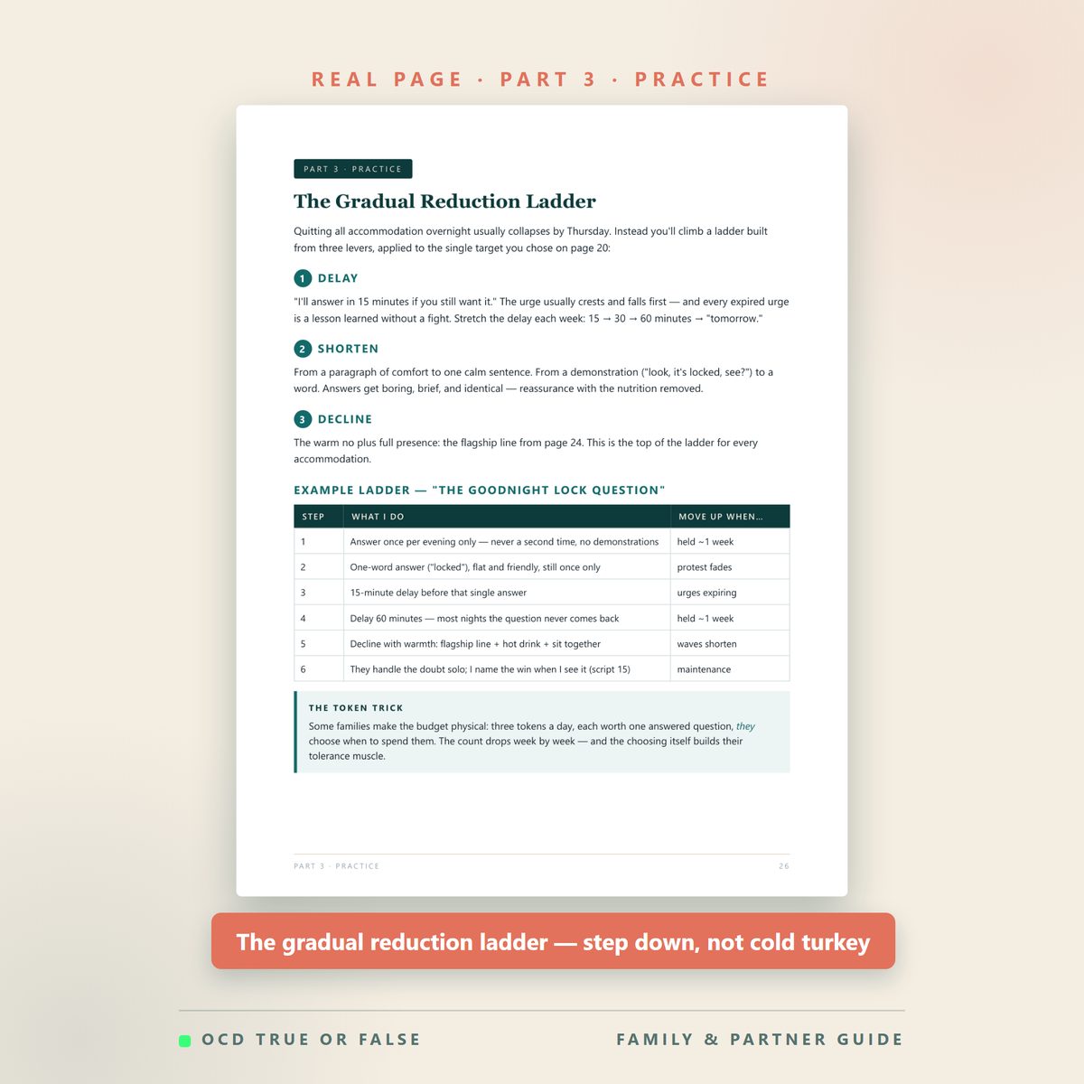 The OCD Family & Partner Support Workbook — inside pages