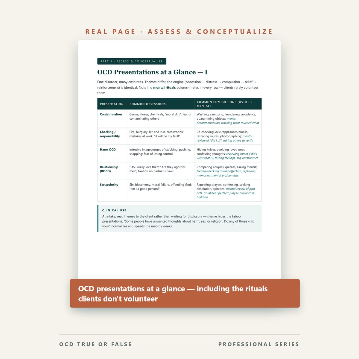 The ERP Practice Kit — Toolkit + Workbooks — inside pages