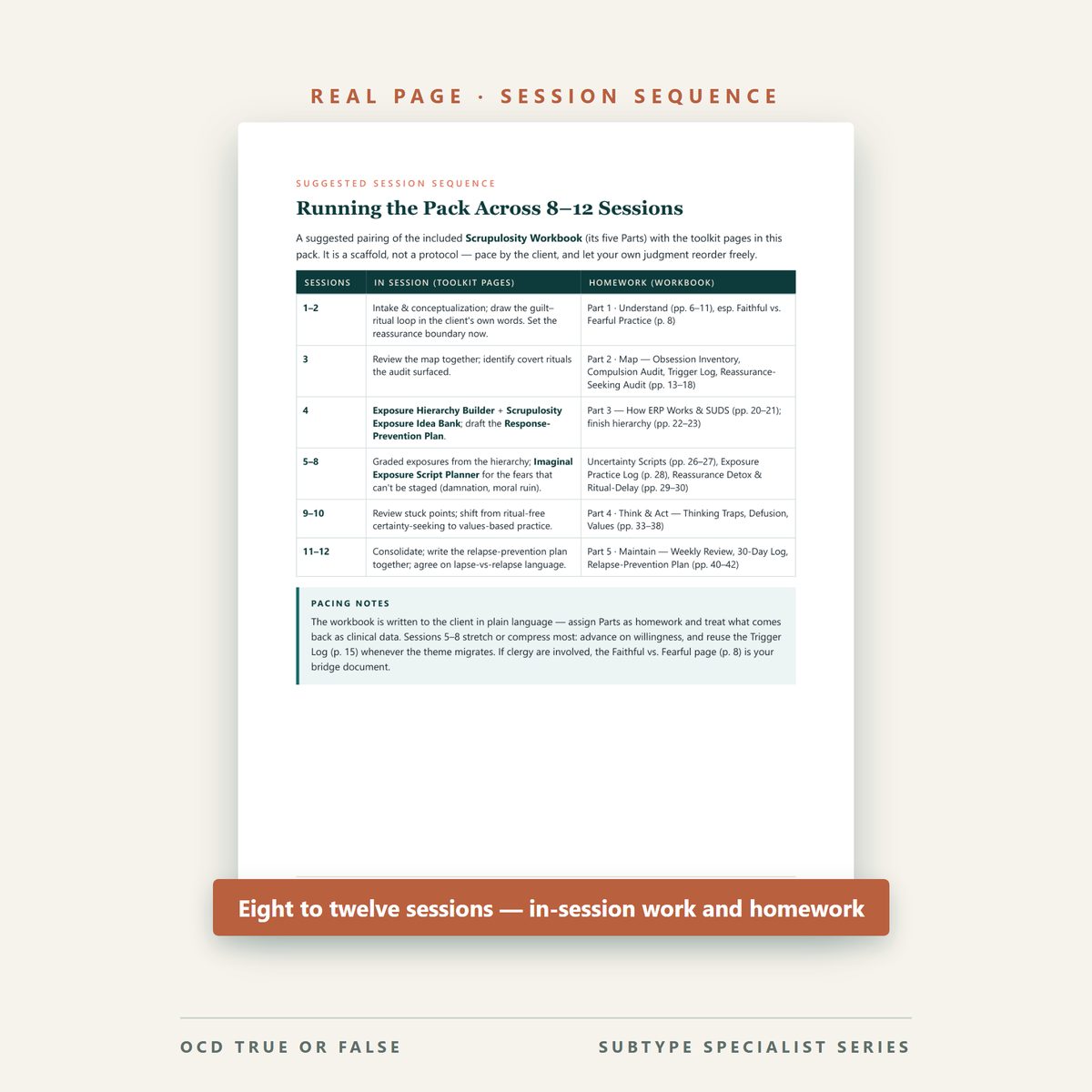 The Scrupulosity Practice Pack (for Clinicians) — inside pages