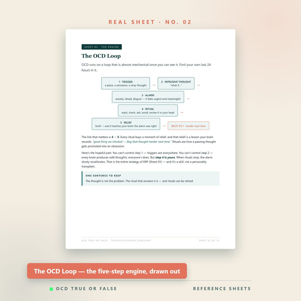 The ERP Cheat Sheets — inside pages