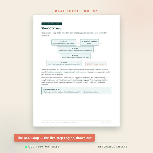 The ERP Cheat Sheets — inside pages