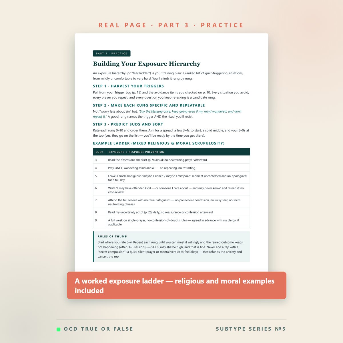 The Scrupulosity (Religious & Moral) OCD Workbook — inside pages