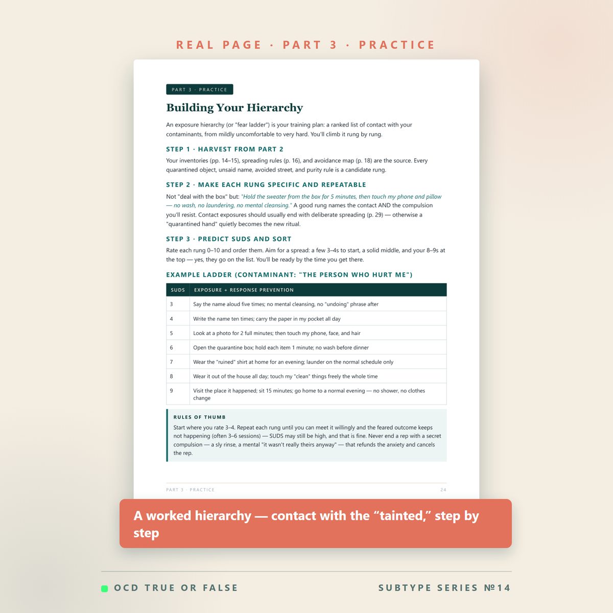 The Emotional Contamination Workbook — inside pages