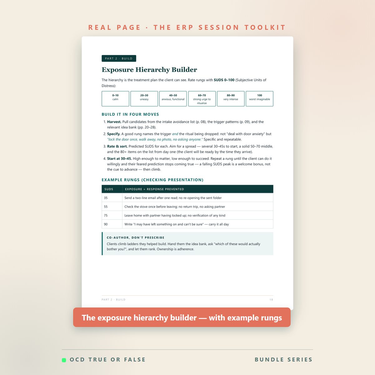 The Whole Shop — Everything Bundle — inside pages