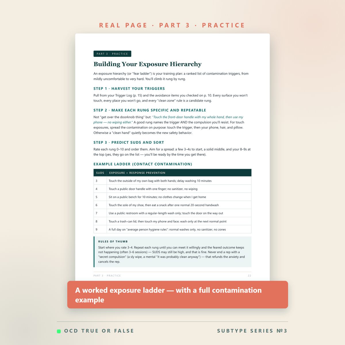 The Contamination OCD Workbook — inside pages