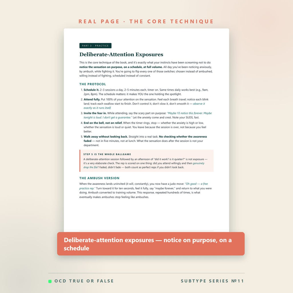 The Sensorimotor OCD Workbook — inside pages