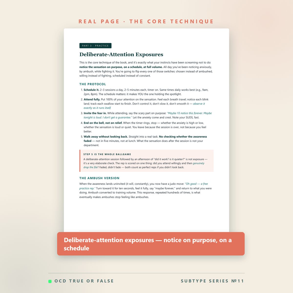 The Sensorimotor OCD Workbook — inside pages
