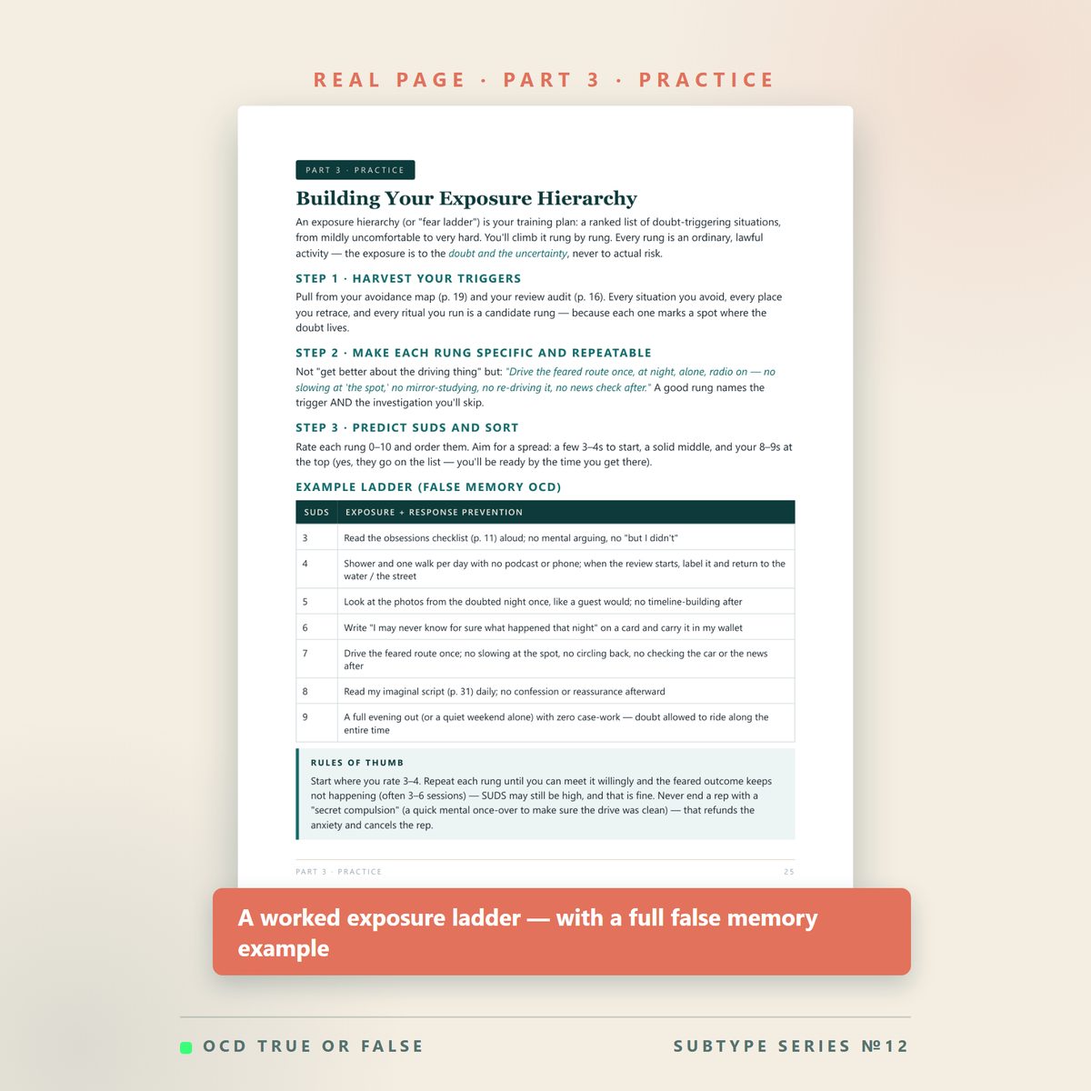 The False Memory OCD Workbook — inside pages