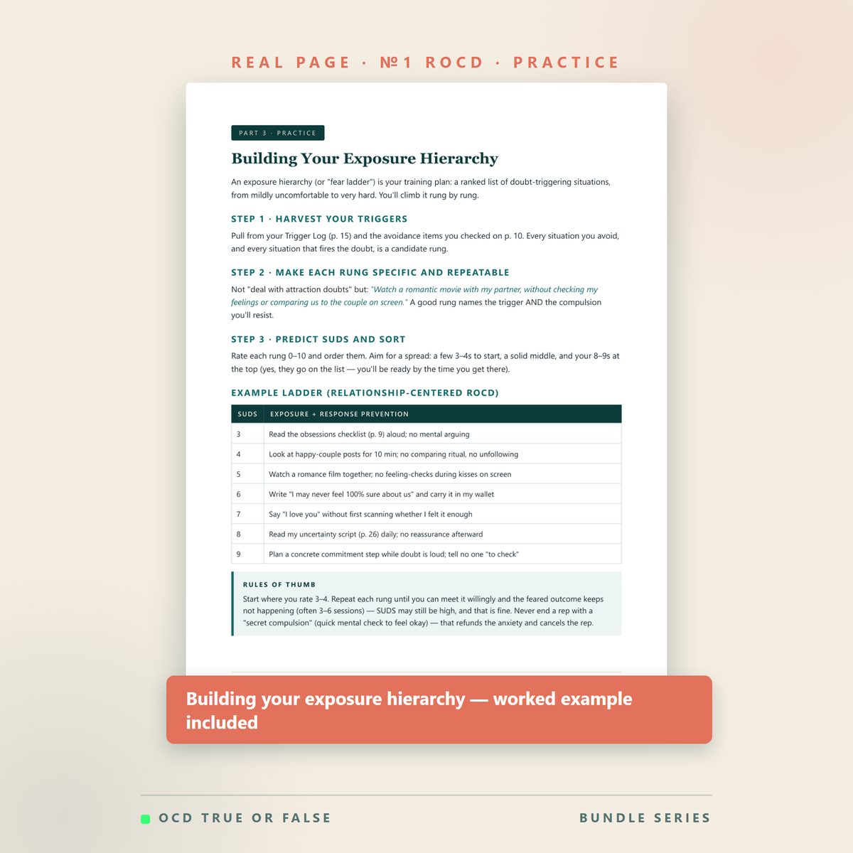 The Complete OCD Subtype Library (9 Workbooks) — inside pages