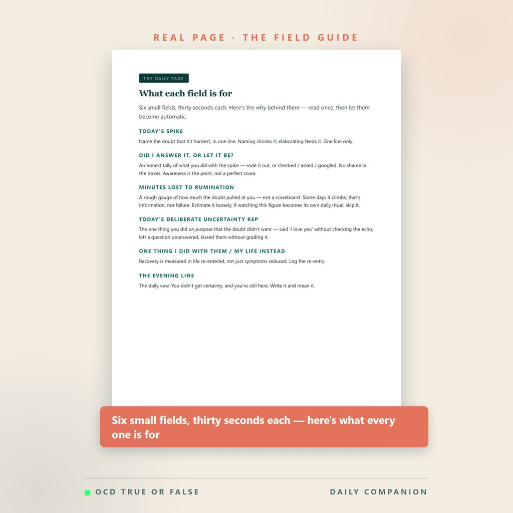 The 90-Day ROCD Journal — inside pages