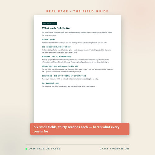 The 90-Day ROCD Journal — inside pages