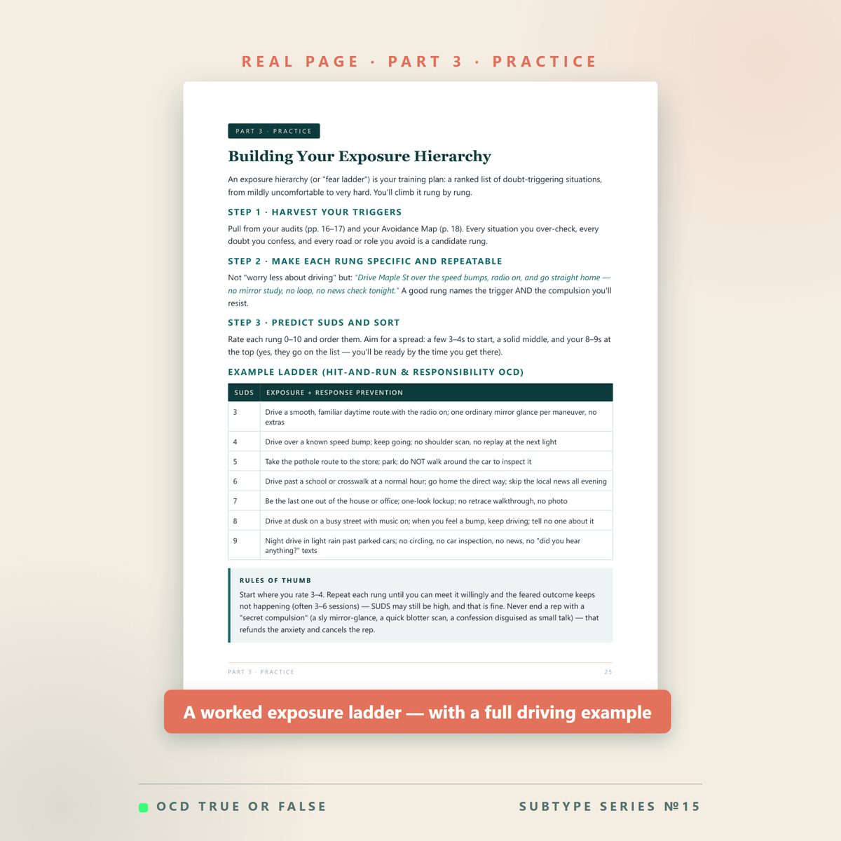 The Responsibility & Hit-and-Run OCD Workbook — inside pages