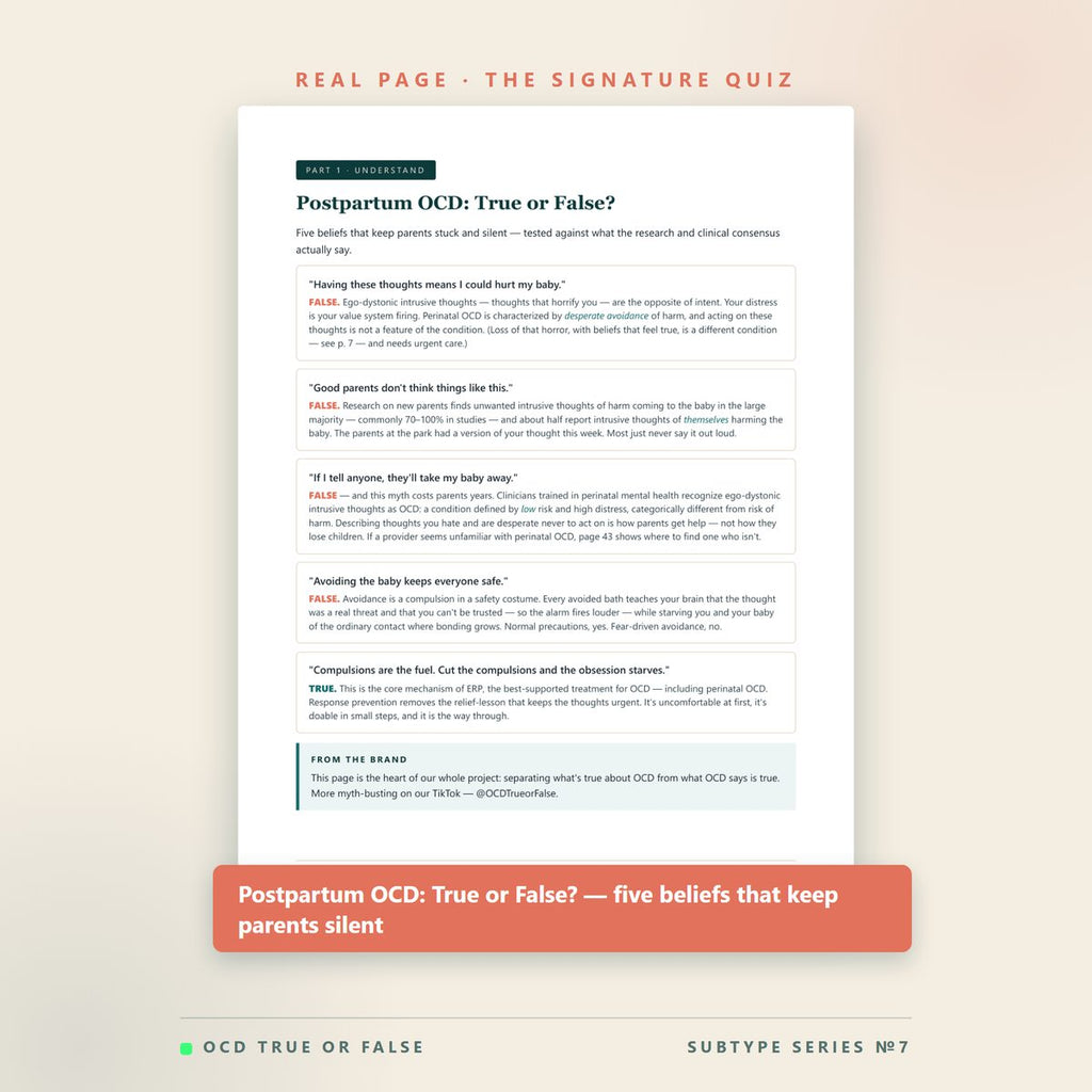 The Postpartum & Perinatal OCD Workbook — worksheet detail