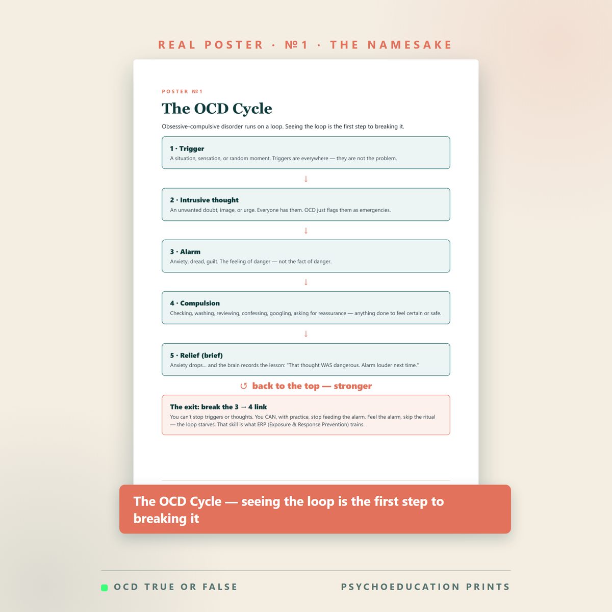 The OCD Cycle Poster Pack — worksheet detail
