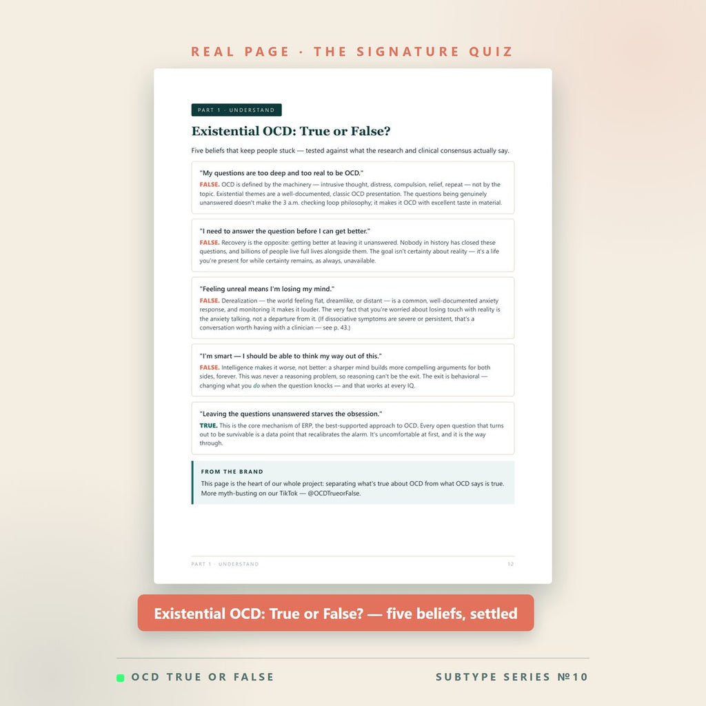 The Existential OCD Workbook — worksheet detail
