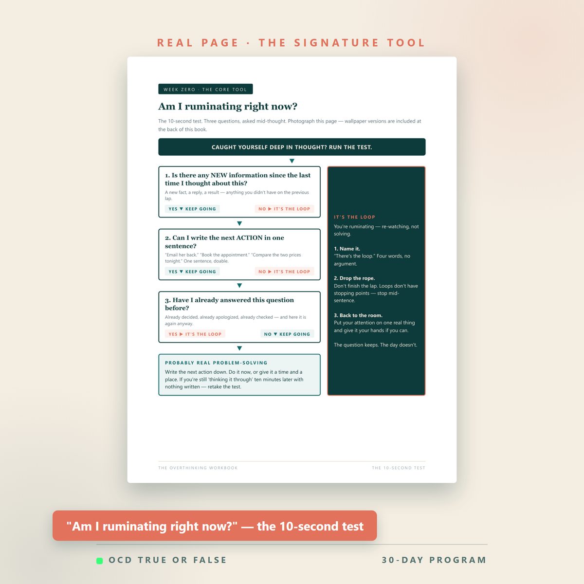The Overthinking Workbook — worksheet detail