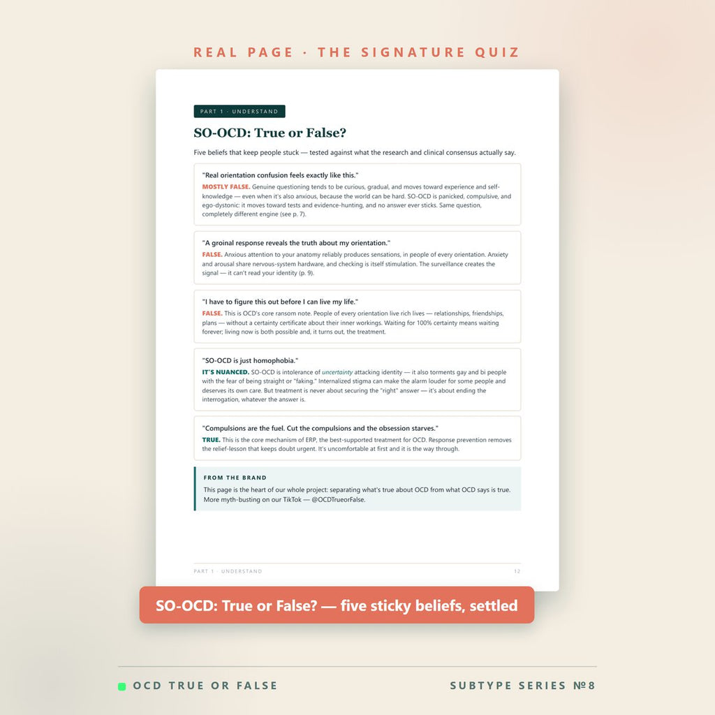 The Sexual-Orientation OCD (SO-OCD) Workbook — worksheet detail