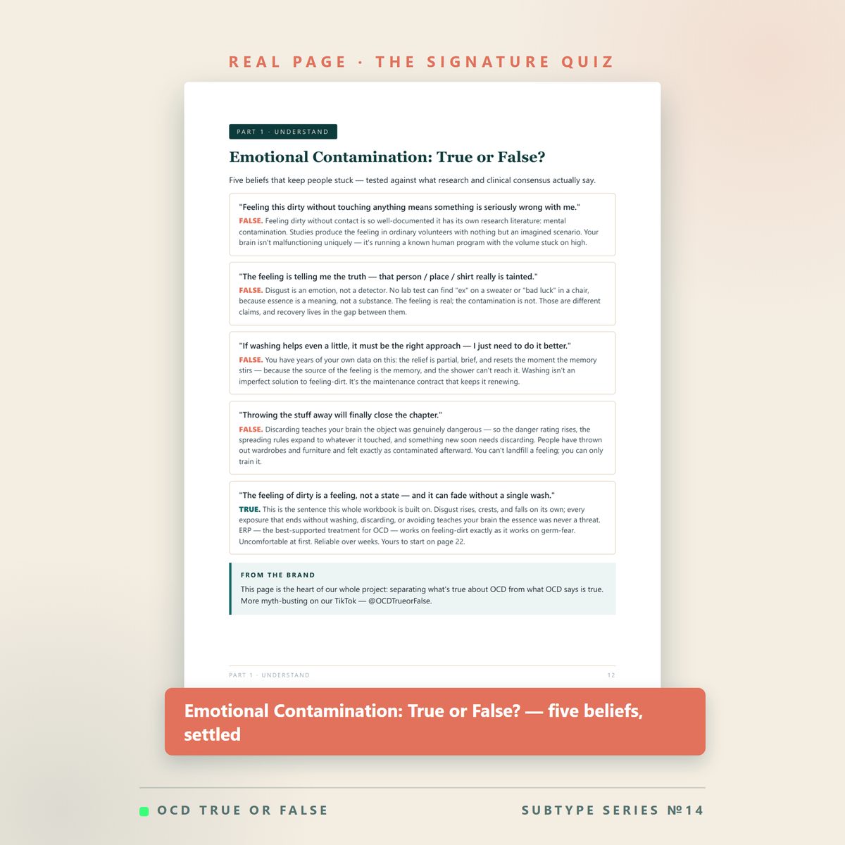The Emotional Contamination Workbook — worksheet detail