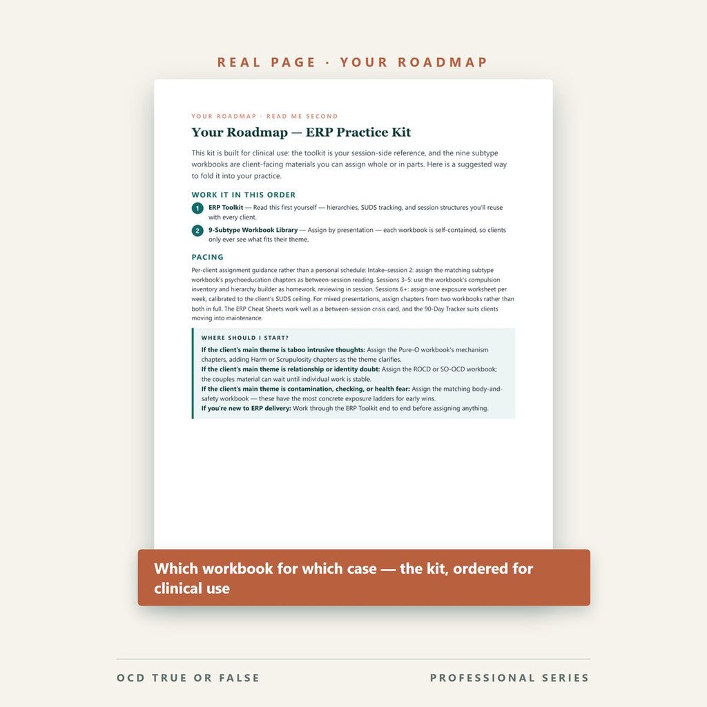 The ERP Practice Kit — Toolkit + Workbooks — worksheet detail