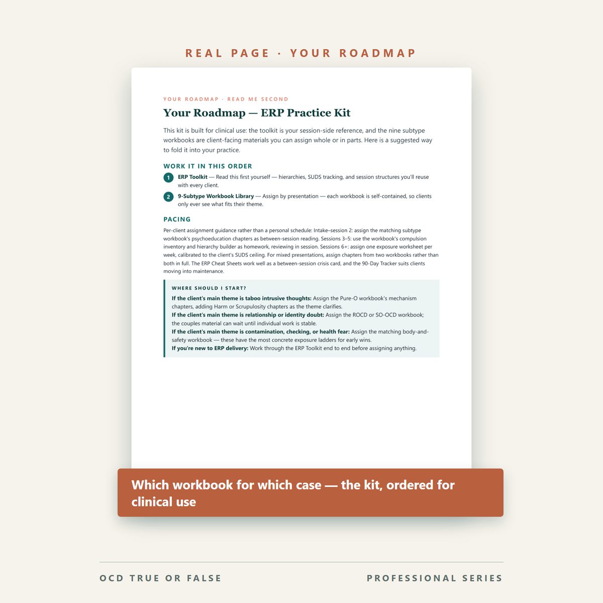 The ERP Practice Kit — Toolkit + Workbooks — worksheet detail