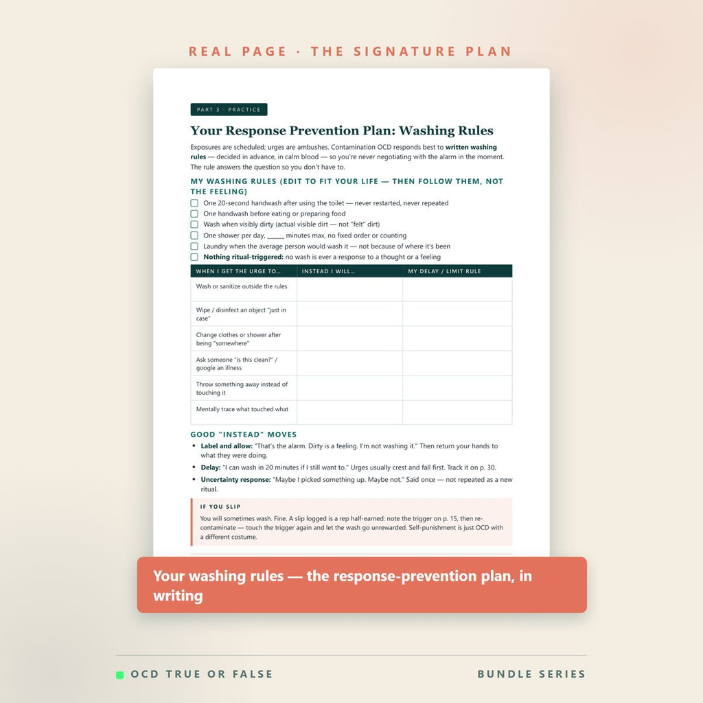 The Body-Focused & Safety Bundle — worksheet detail