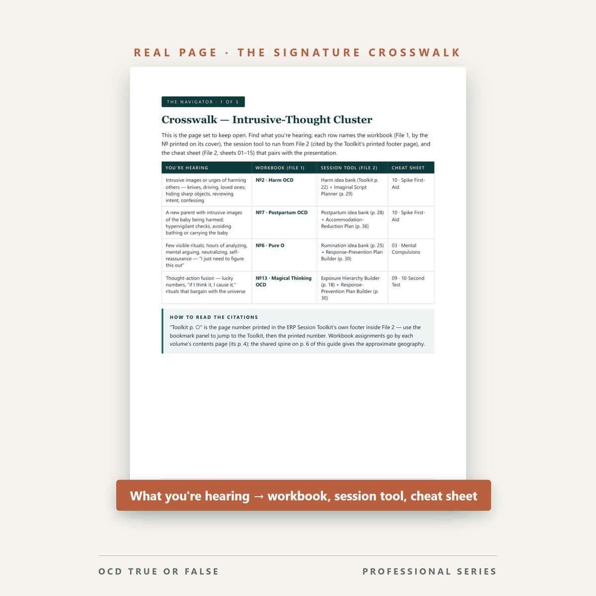 The Complete ERP Clinician System — worksheet detail