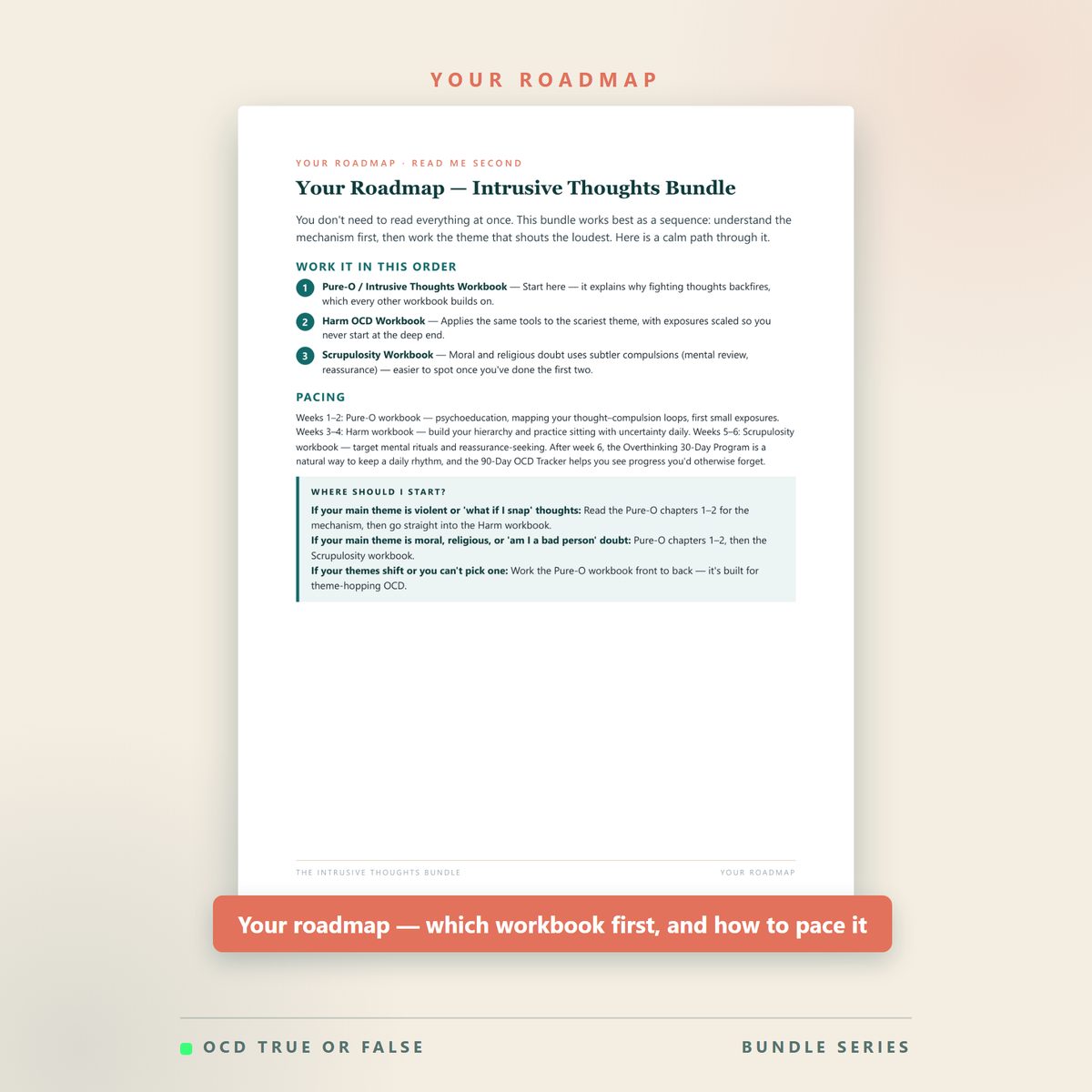 The Intrusive Thoughts Bundle — what's included