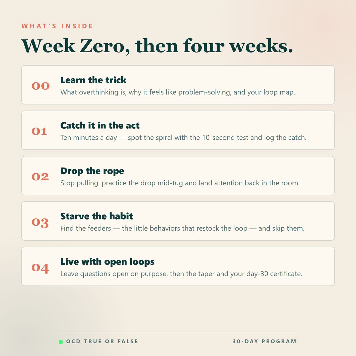 The Overthinking Workbook — what's included