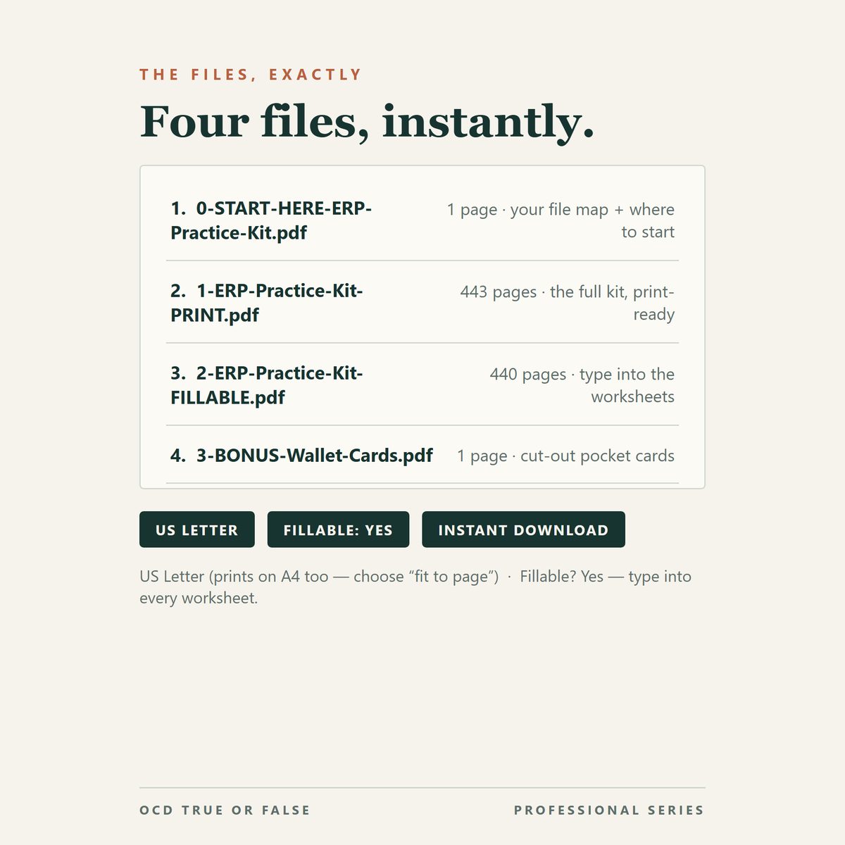The ERP Practice Kit — Toolkit + Workbooks — format and page count