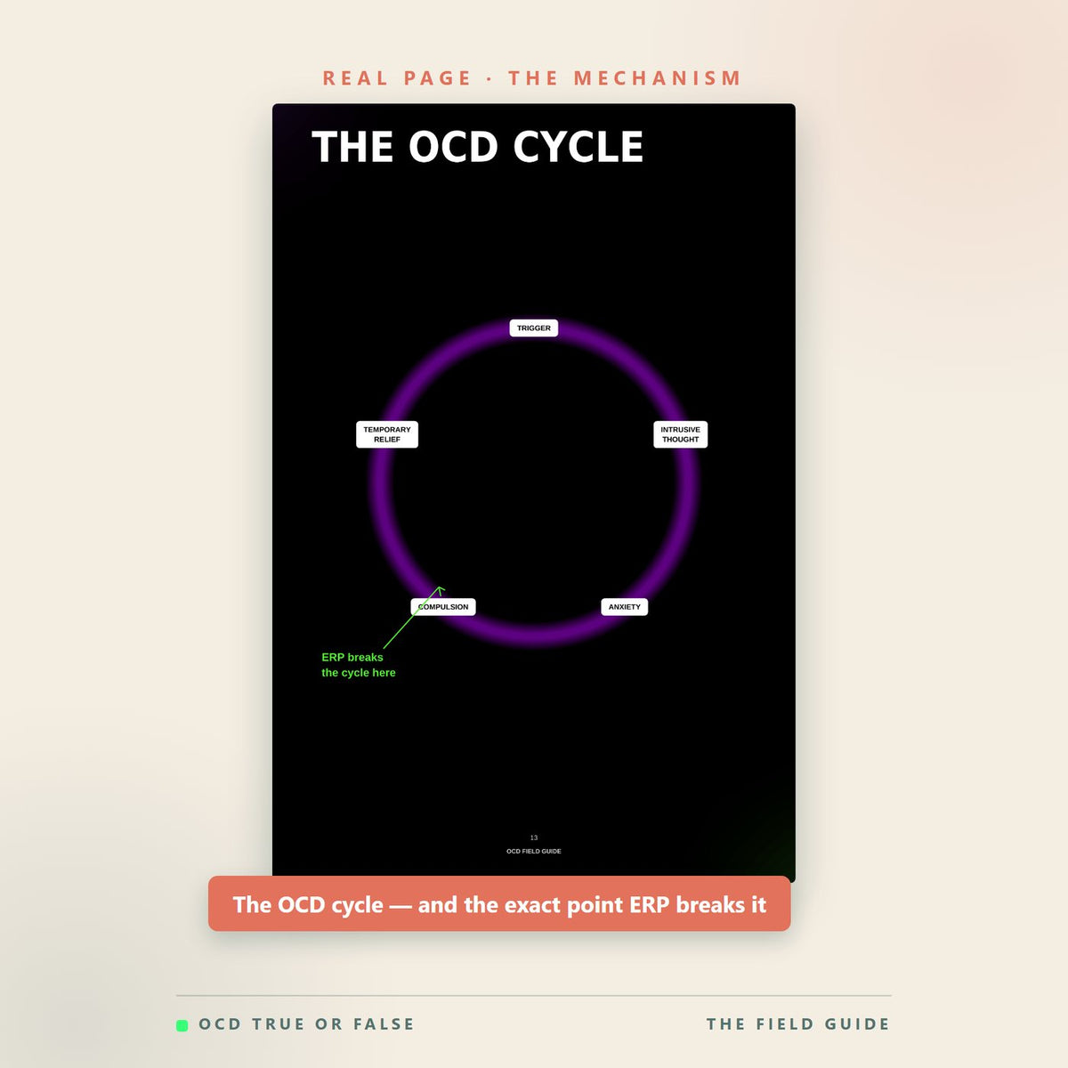A real page from The OCD Field Guide diagramming the OCD cycle from trigger to intrusive thought to compulsion to temporary relief, and where ERP breaks it.