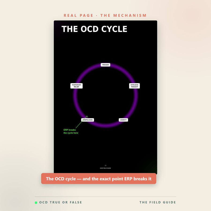 A real page from The OCD Field Guide diagramming the OCD cycle from trigger to intrusive thought to compulsion to temporary relief, and where ERP breaks it.