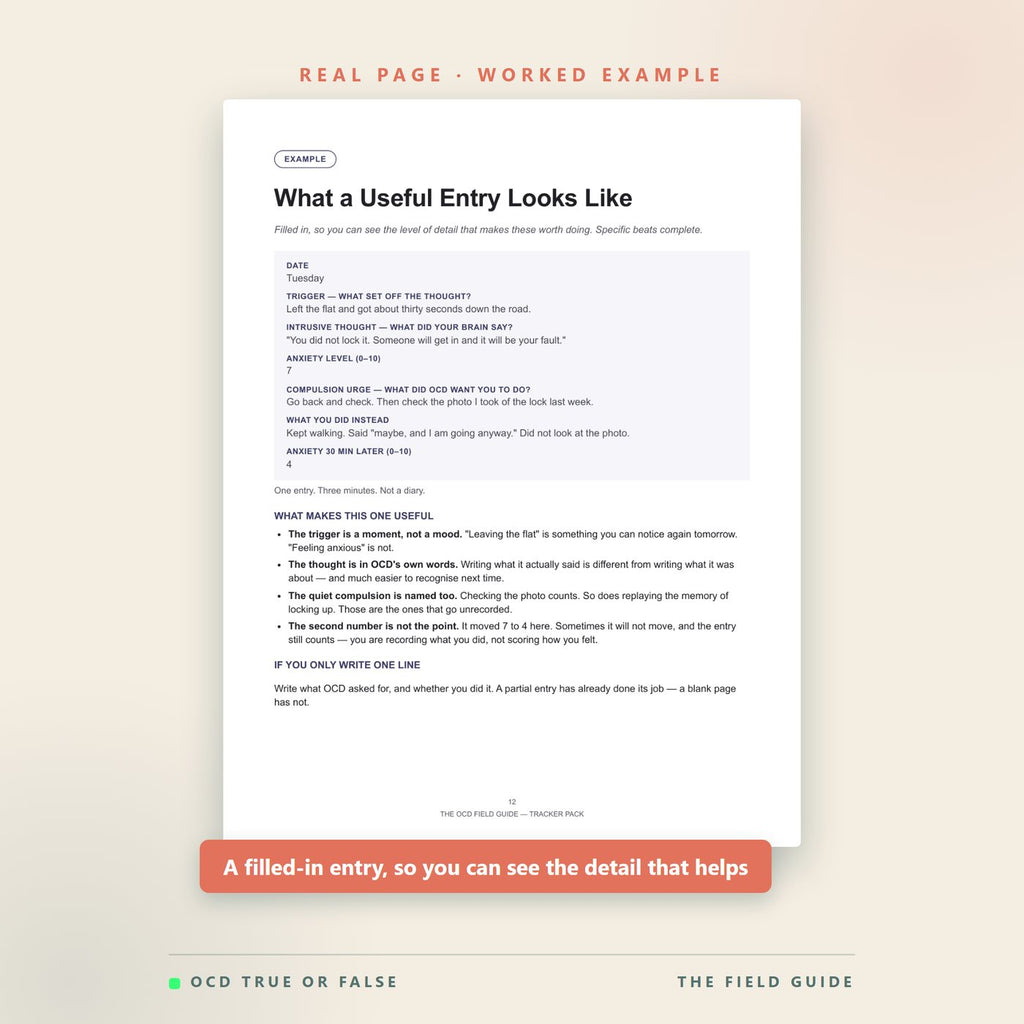 A worked example page showing a filled-in thought-tracking entry, so buyers can see the level of detail that makes the worksheets useful.