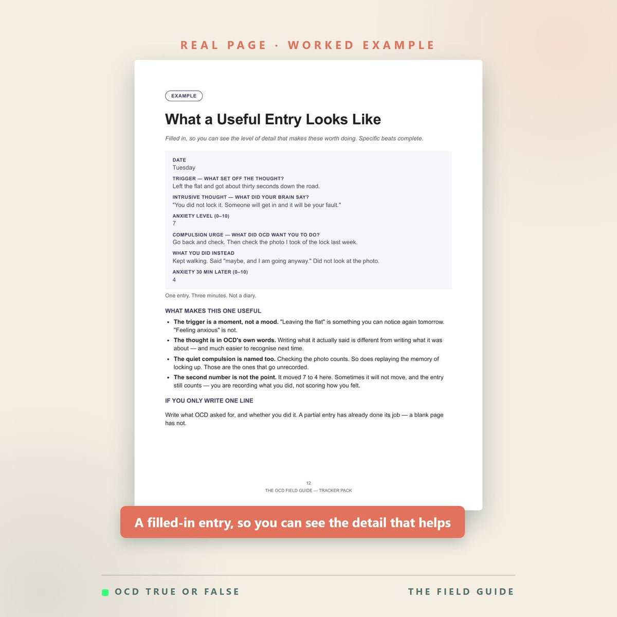 A worked example page showing a filled-in thought-tracking entry, so buyers can see the level of detail that makes the worksheets useful.