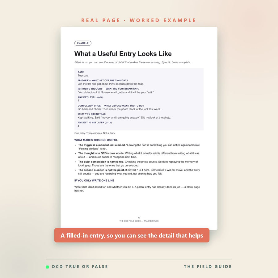 A worked example page showing a filled-in thought-tracking entry, so buyers can see the level of detail that makes the worksheets useful.